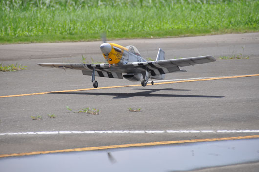 L728-334.jpg